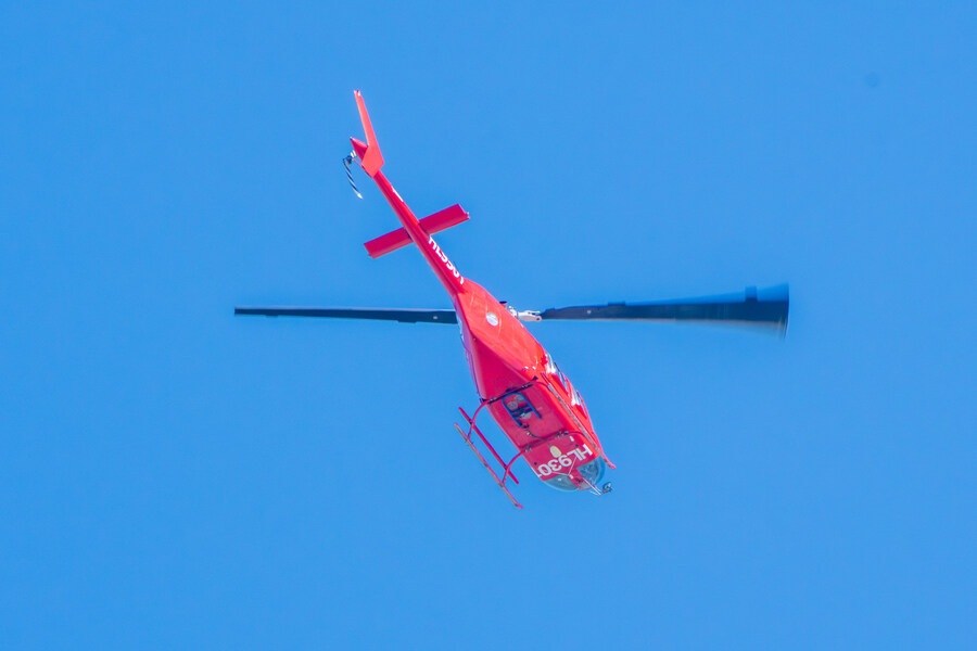 2월 시화호 북단 및 오이도 탐조_36.jpg