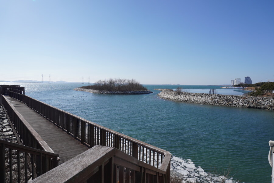 2월 시화호 북단 및 오이도 탐조_39.jpg