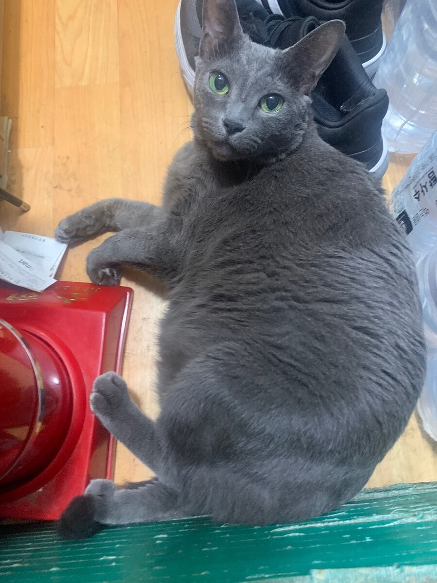 몬헌월드에 가지고 있는 추억_3.jpg