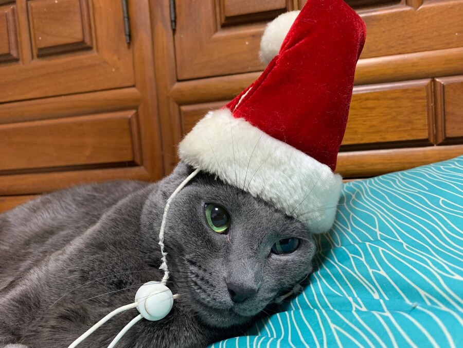 몬헌월드에 가지고 있는 추억_7.jpg