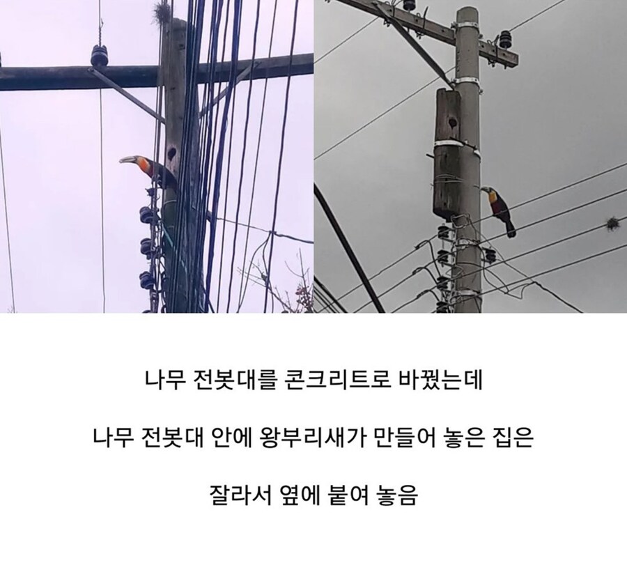 집이 재건축 됐지만 쫒겨나지 않은 새입자_1.jpg