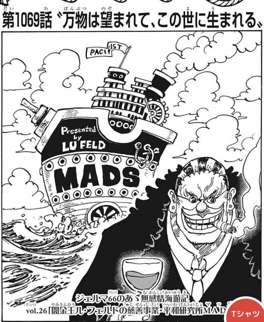 원피스 의외로 과한 추측에 가까운것_3.jpg