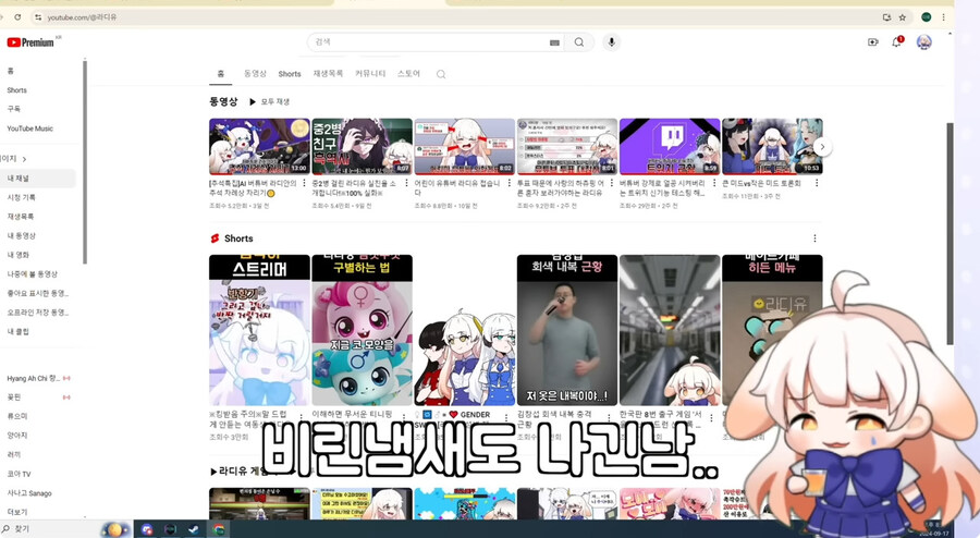 시청자들이 자꾸 개밥먹는다고 해서 빡친 버튜버_5.jpg