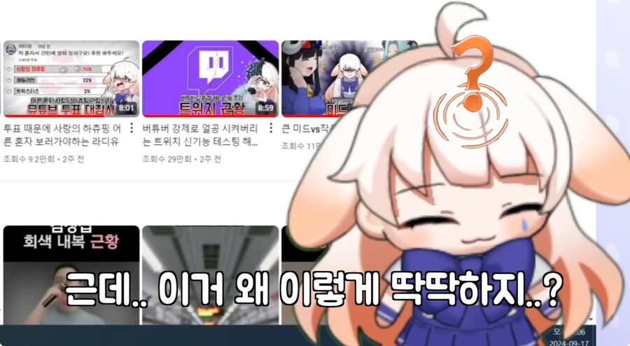 시청자들이 자꾸 개밥먹는다고 해서 빡친 버튜버_15.jpg