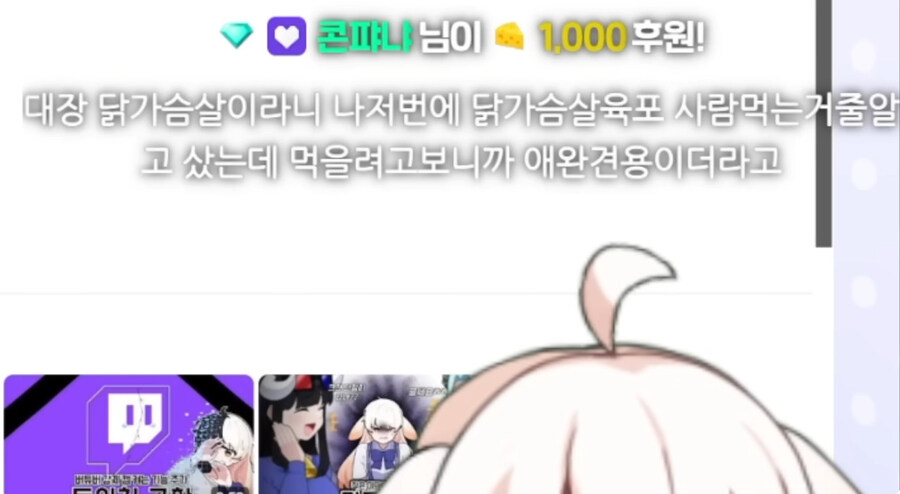 시청자들이 자꾸 개밥먹는다고 해서 빡친 버튜버_25.jpg