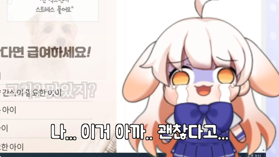 시청자들이 자꾸 개밥먹는다고 해서 빡친 버튜버_62.jpg