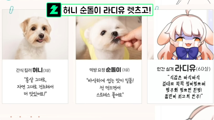 시청자들이 자꾸 개밥먹는다고 해서 빡친 버튜버_63.jpg