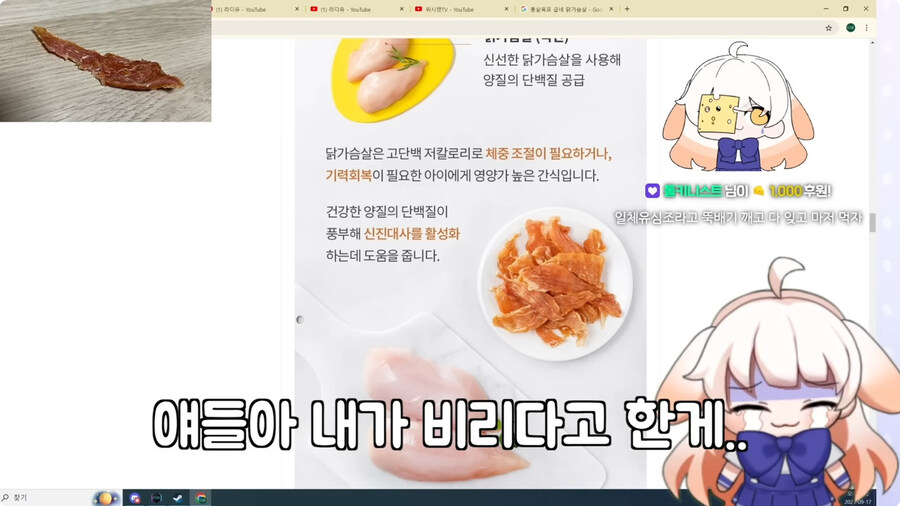 시청자들이 자꾸 개밥먹는다고 해서 빡친 버튜버_64.jpg