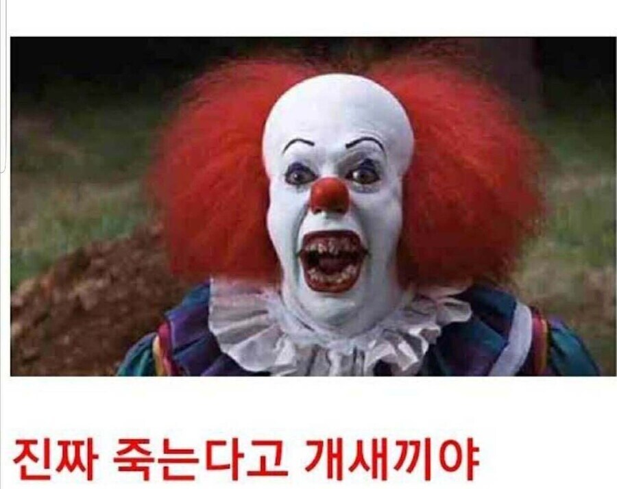 최근들어 국내 머스크빠들이 잘 안보이는 이유_3.jpg