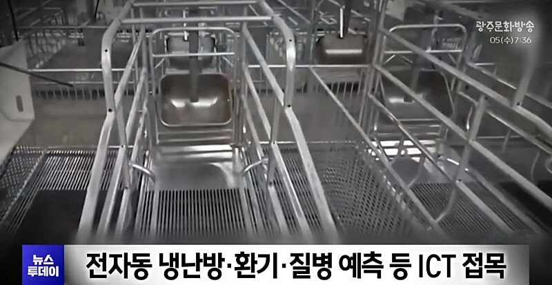충남 '돼지빌딩' 추진...동물단체 반발_2.jpg