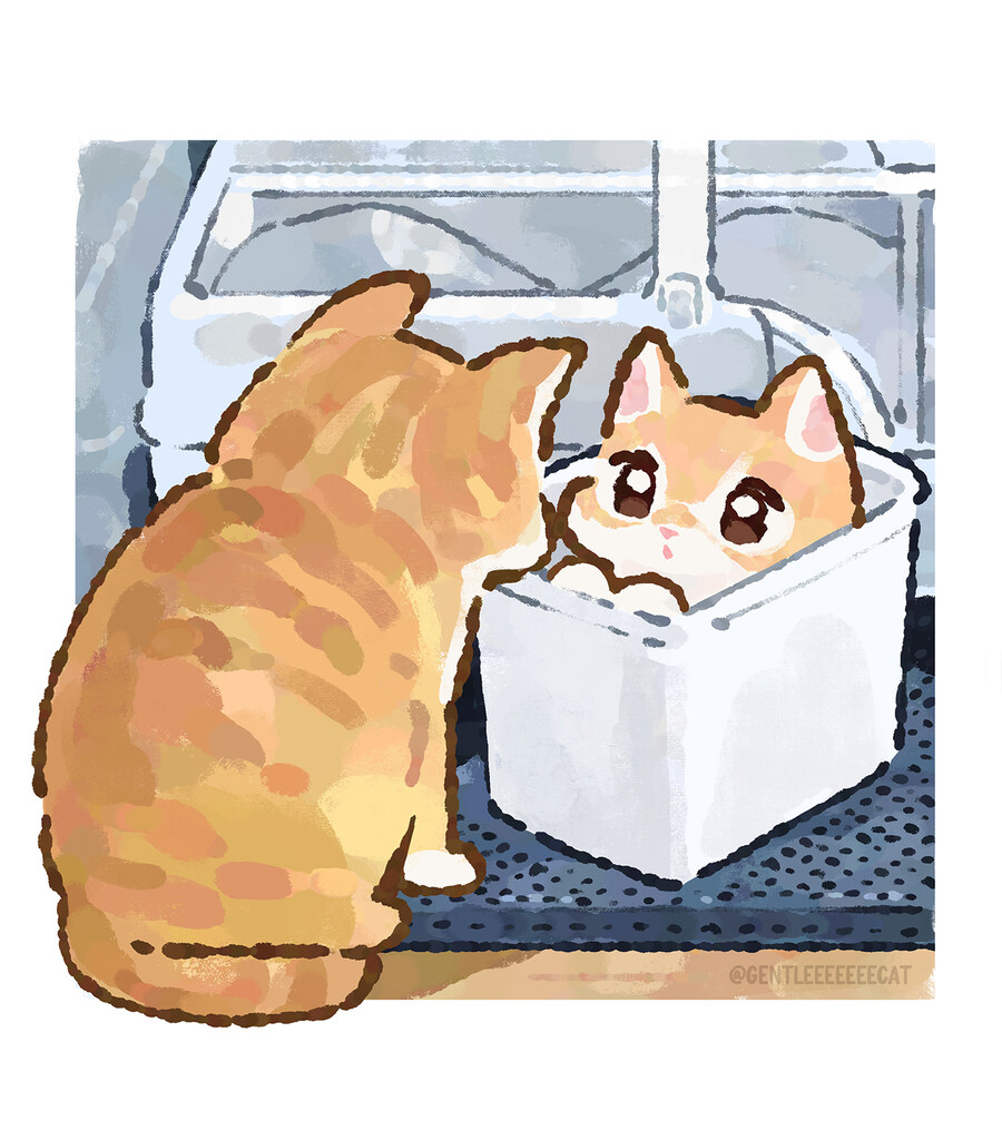 쓰레기통 안의 고양이🐱를 쳐다보는 고양이🐱_1.jpg