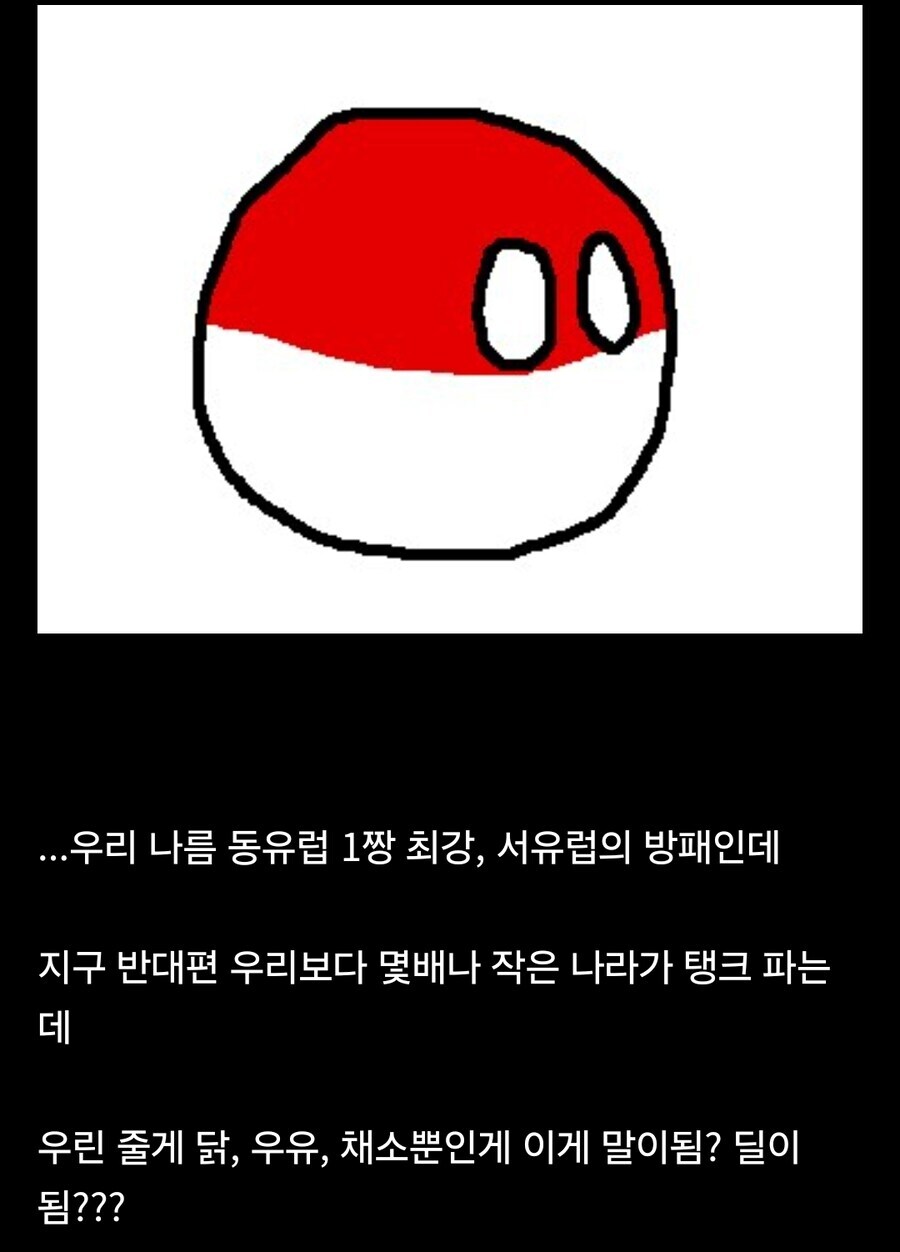 폴란드 "힝 왜 우리는 우유 밖에 못파는건데!!"_2.jpg