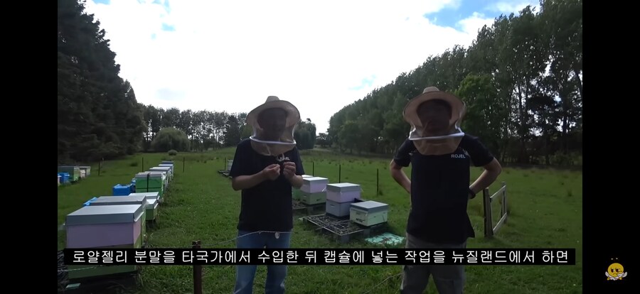 국산 된장 논란 뉴질랜드 버전.jpg_2.png