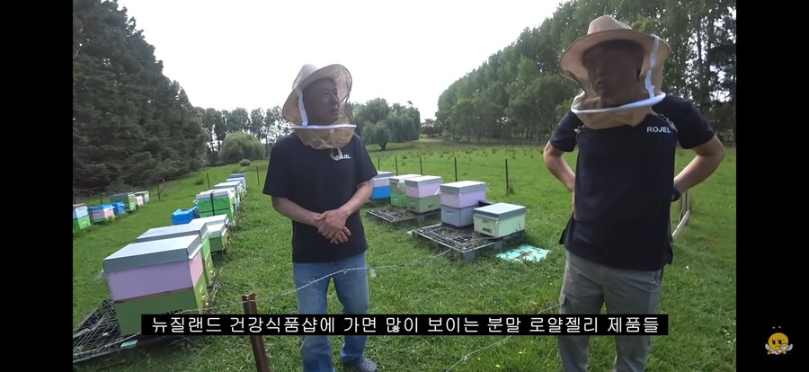 국산 된장 논란 뉴질랜드 버전.jpg_1.png