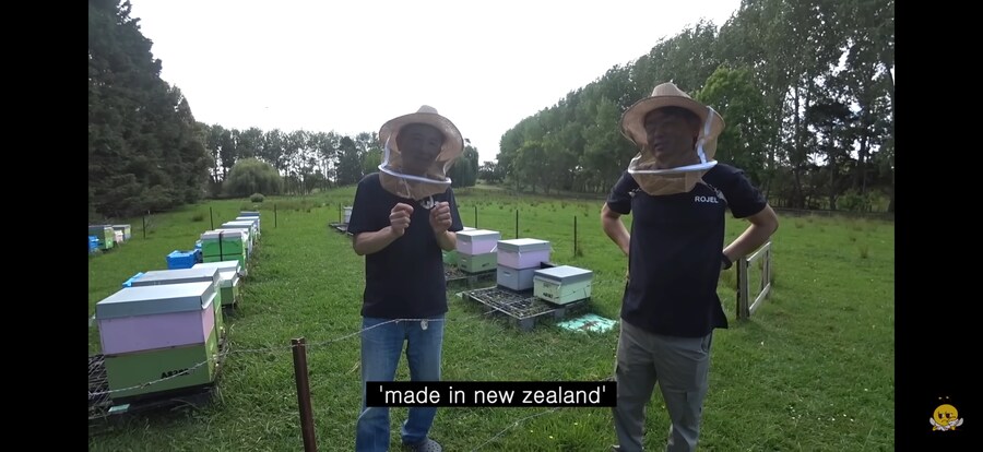 국산 된장 논란 뉴질랜드 버전.jpg_3.png