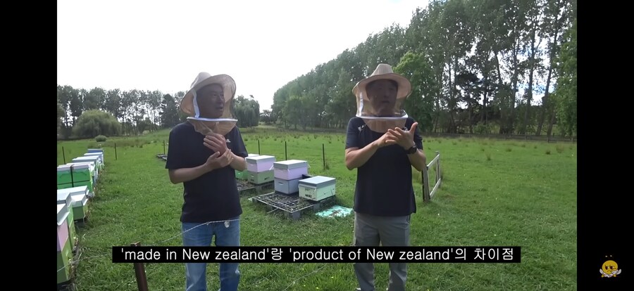 국산 된장 논란 뉴질랜드 버전.jpg_4.png