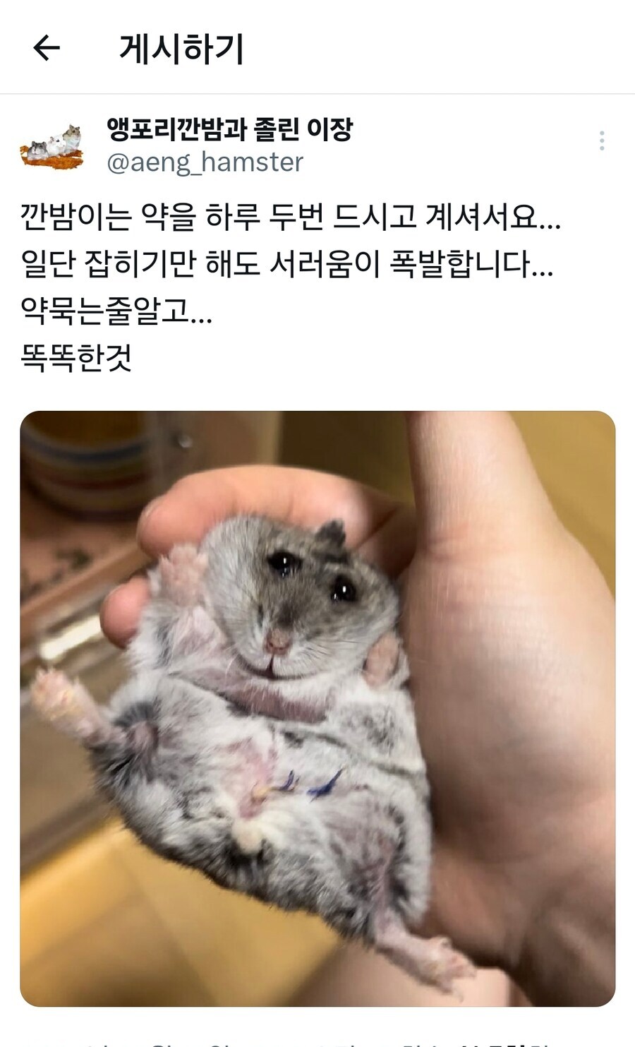 서러움이 폭발한 햄스터_1.jpg