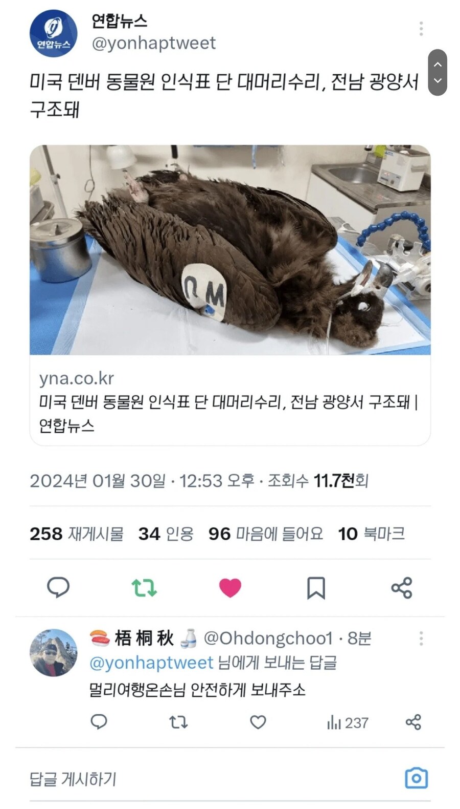 미국 인식표 단 대머리수리 전남에서 구조ㅋㅋ_1.jpg