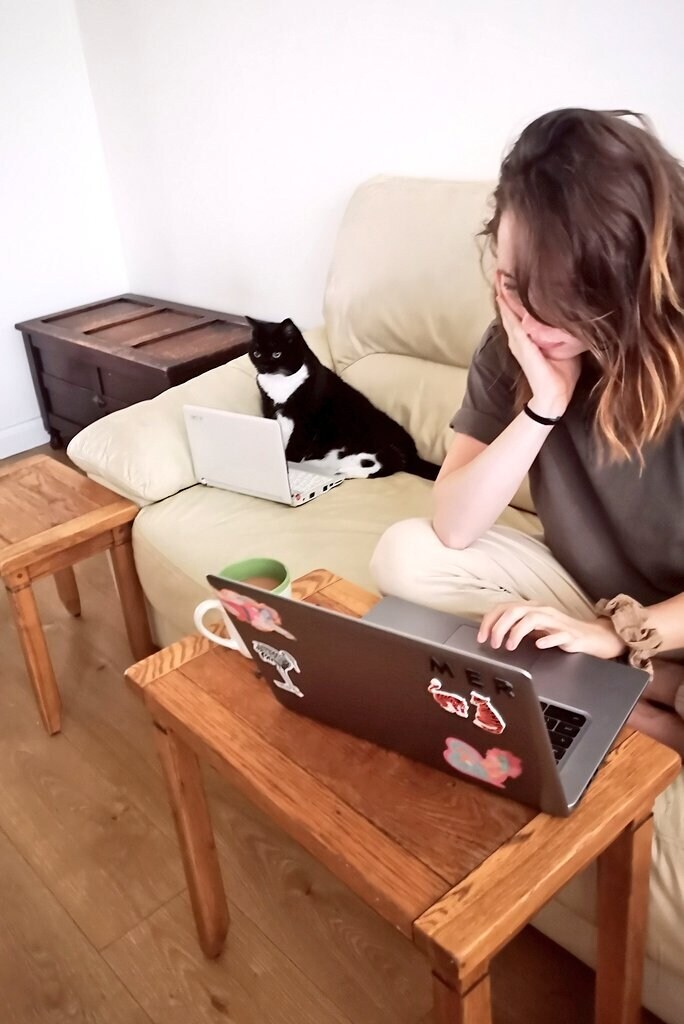 양이가 컴퓨터 하는걸 방해 할때는_2.jpg