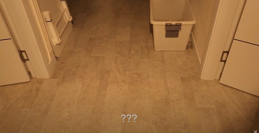 냥집사들 외출했다 귀가했을 때 가슴 철렁 하는 순간_3.png