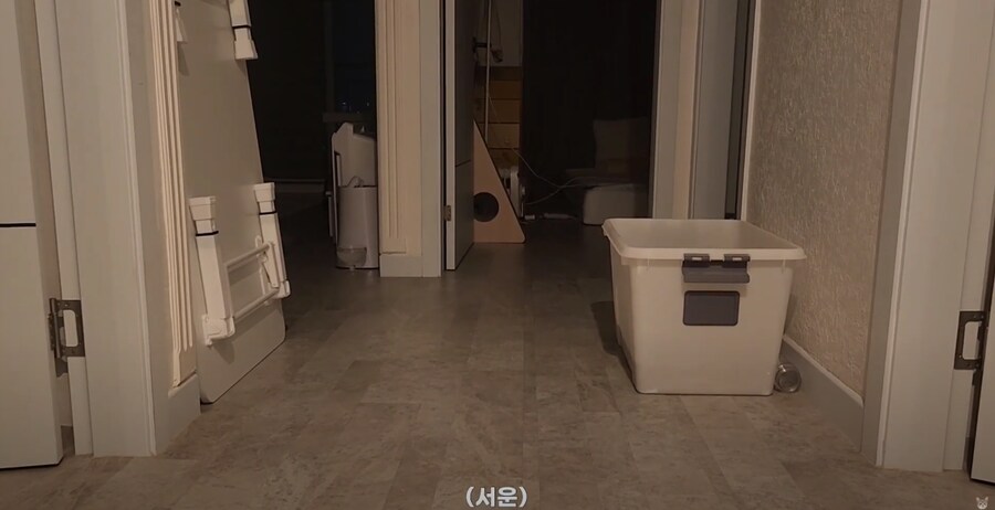 냥집사들 외출했다 귀가했을 때 가슴 철렁 하는 순간_5.png
