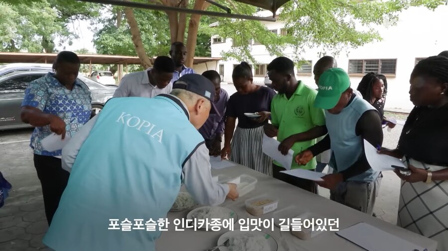 근래 떡상한 한국 쌀 품종류 甲_6.png