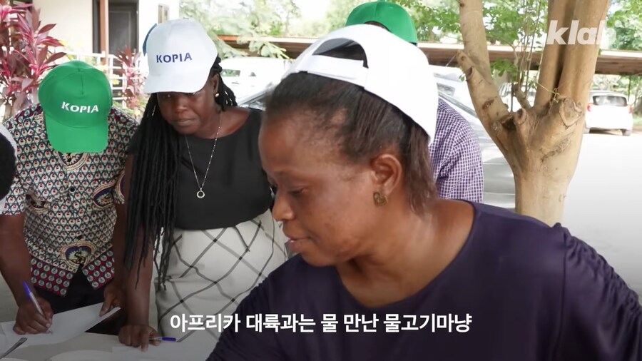 근래 떡상한 한국 쌀 품종류 甲_7.png