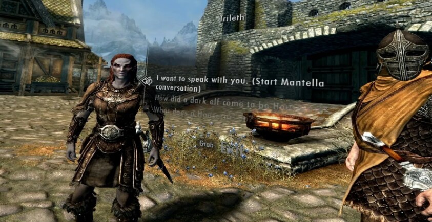 ChatGPT로 NPC 대화에 힘을 실어 스카이림 VR 플레이_1.png