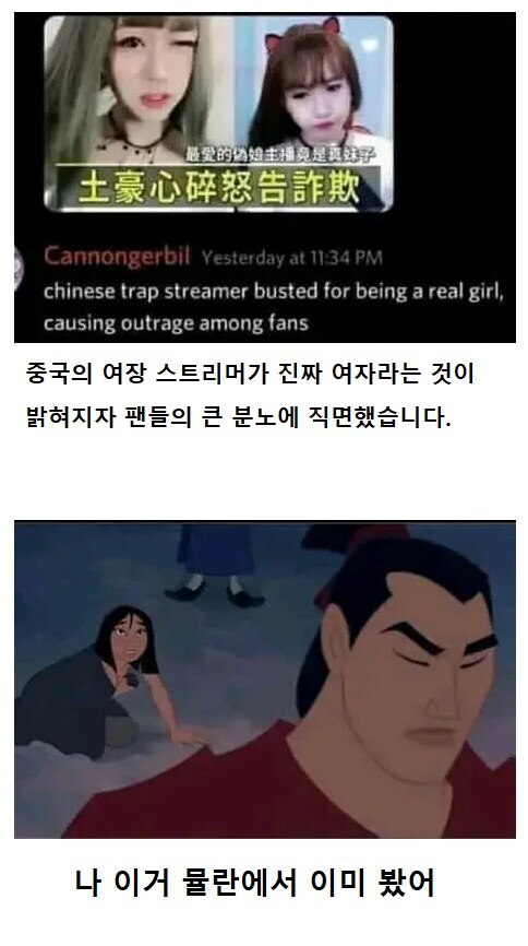 뮬란에서 이미 본거_1.png