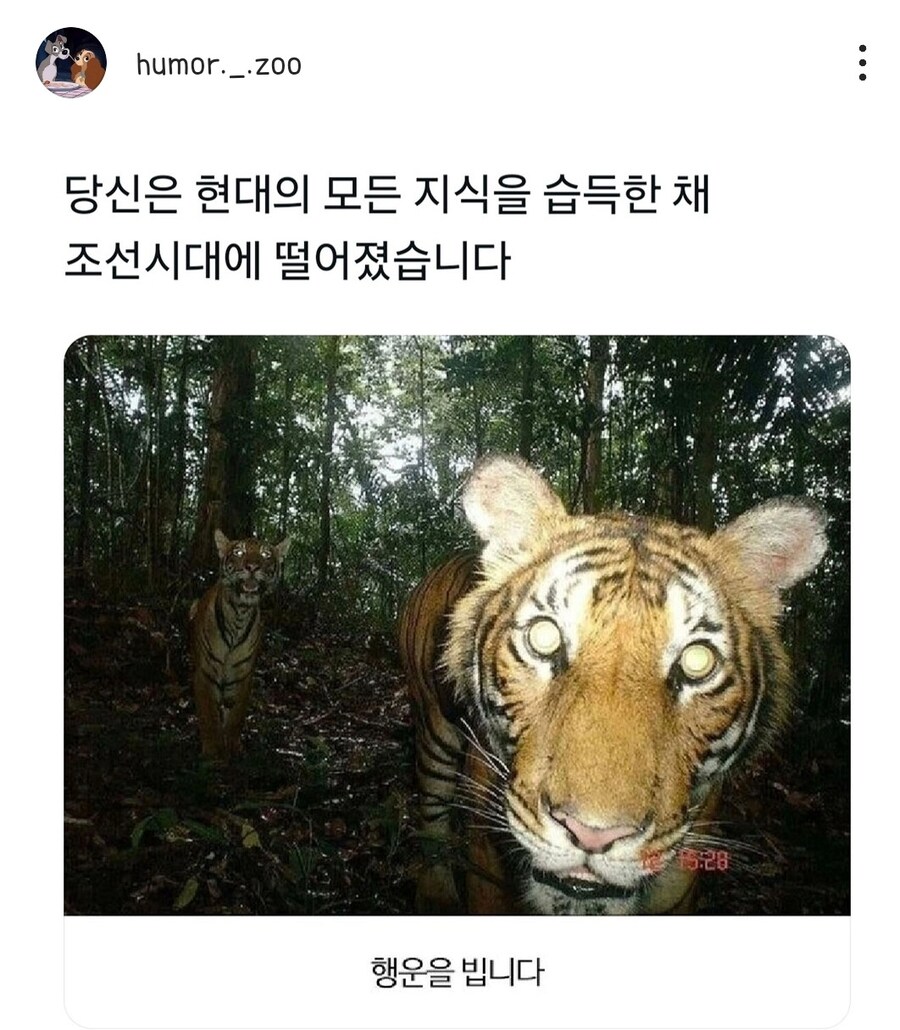 당신은 현대의 모든 지식을 가지고 조선시대에 떨어졌습니다_1.jpg