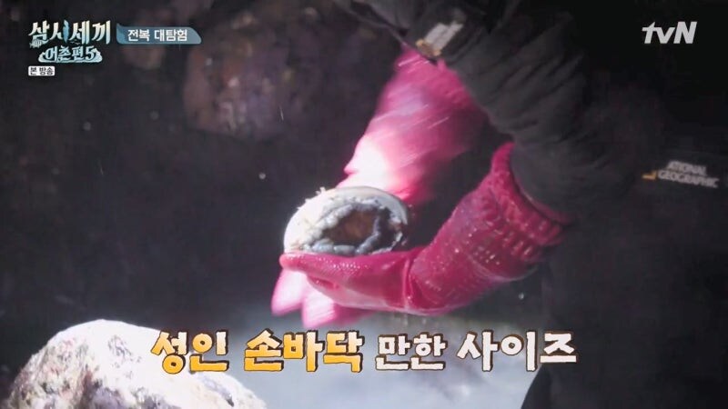 존나 개쩌는 전복을 줍줍한 삼시세끼 팀_9.jpg