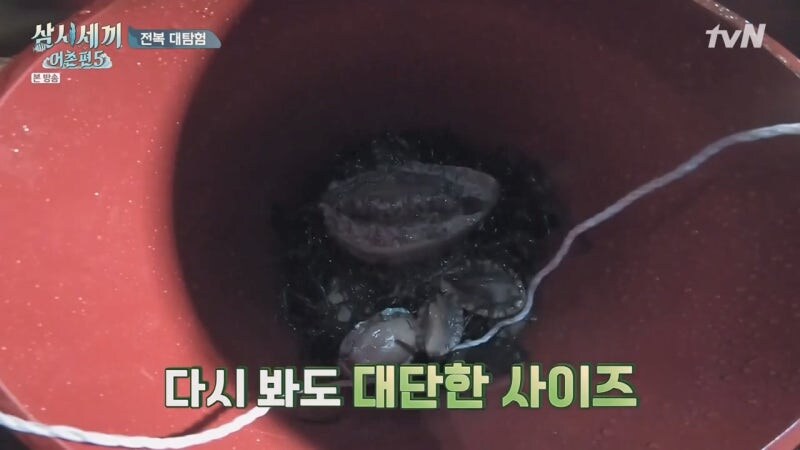 존나 개쩌는 전복을 줍줍한 삼시세끼 팀_13.jpg