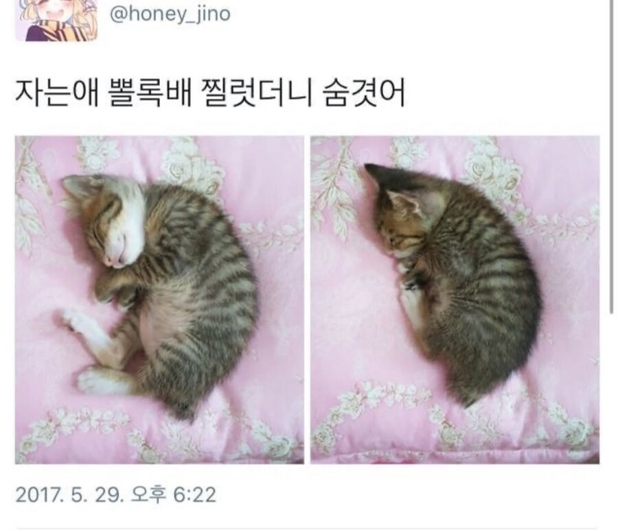 자신의 소중한 것을 숨기는 짐승.jpg_1.jpg