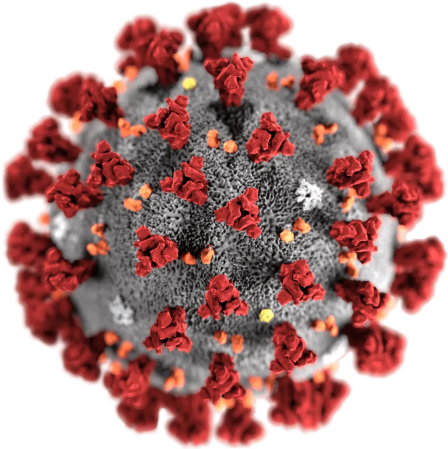 10년 전에 말하면 아무도 안믿을 사건들_1.webp