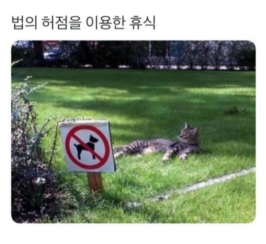 법의 헛점을 이용한 휴식_1.jpg