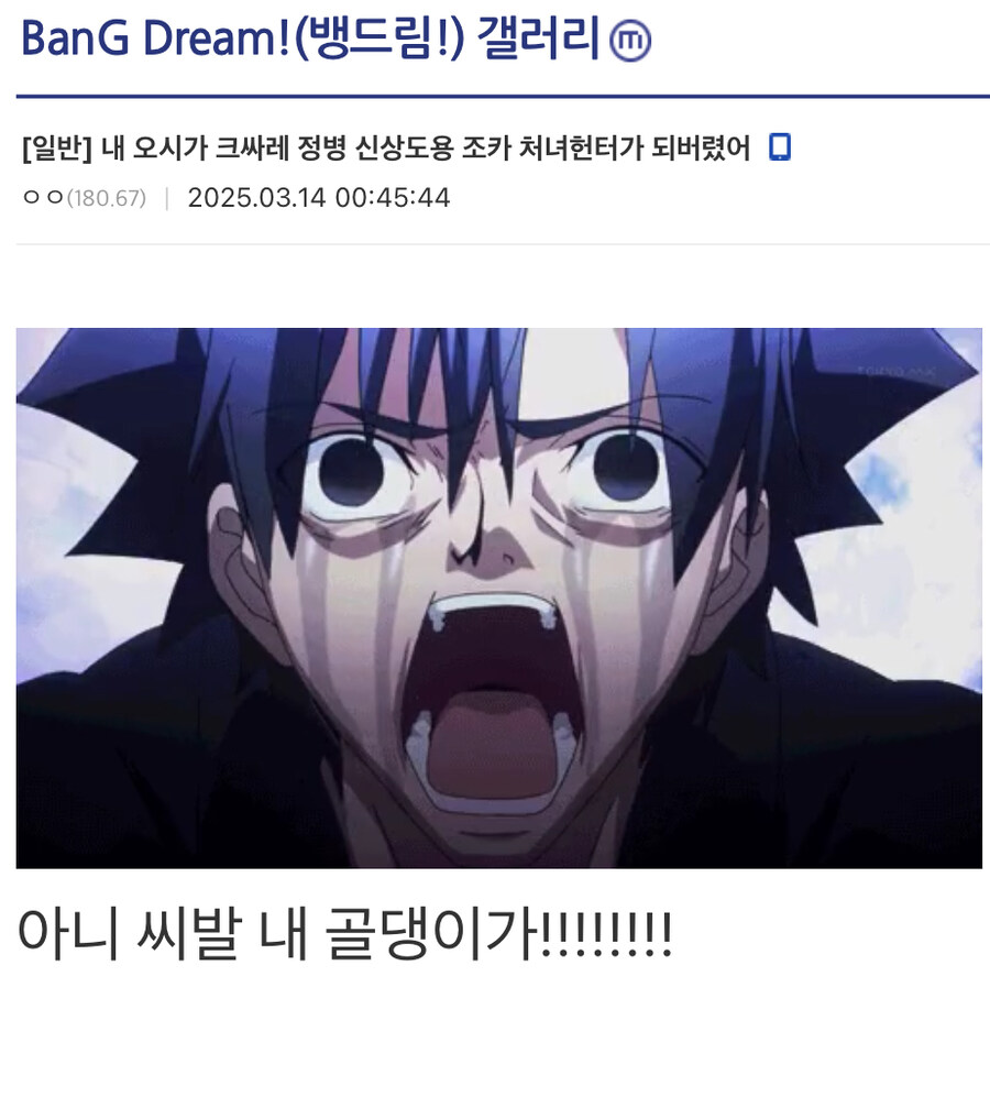 ???: 뱅드림 IP를 다시 떡상시켜 주세요!!!_4.jpg