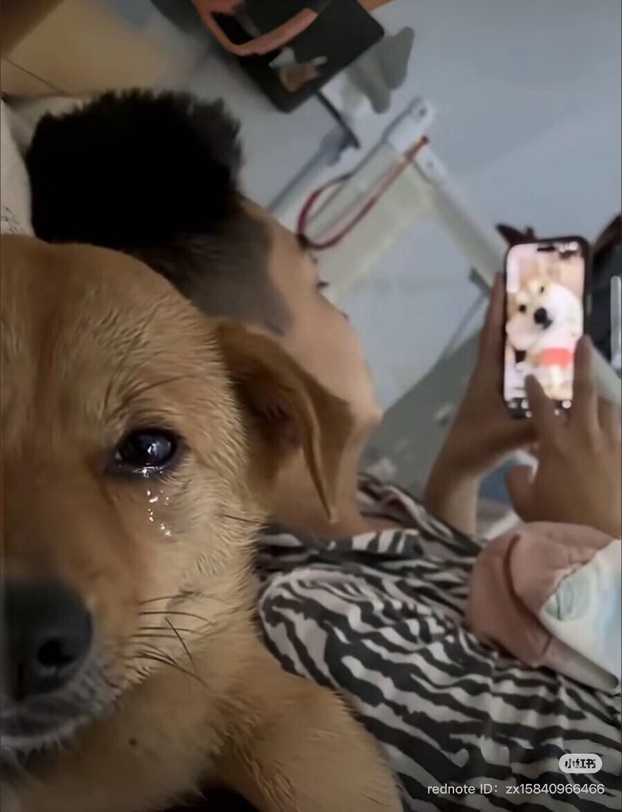 엇갈린 서로의 마음_1.jpg