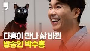 갓냥이 실존사례_1.png