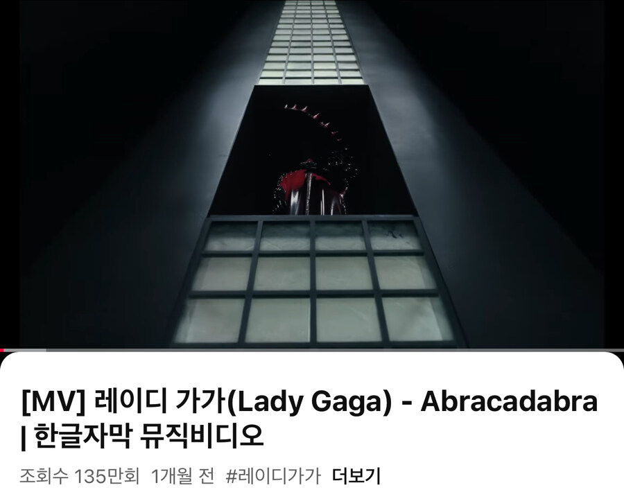 레이디가가 내한관련 의심하는 사람들이 많은 이유_1.jpg