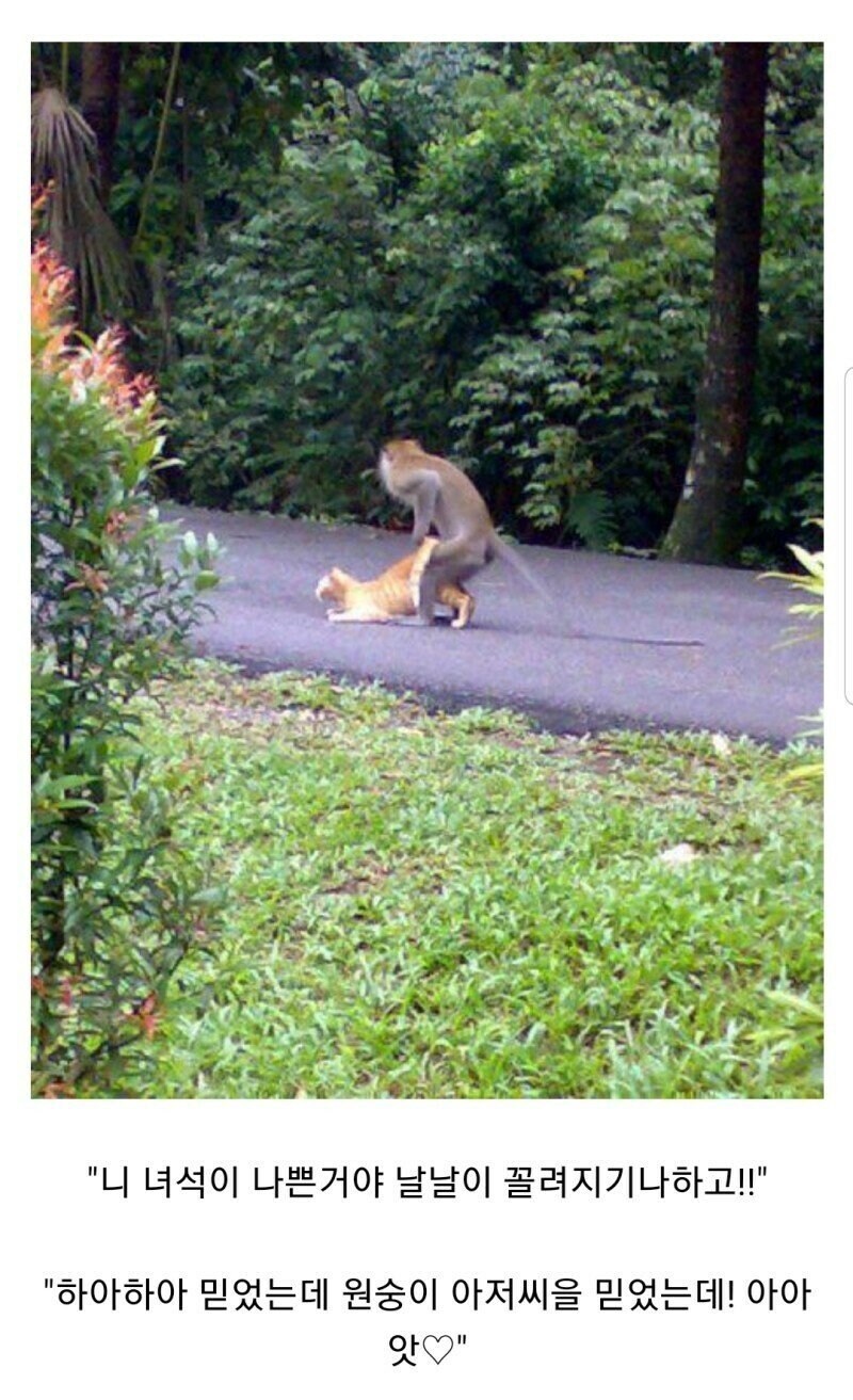 판타지) 이거 읽어본 사람 있냐_2.jpg