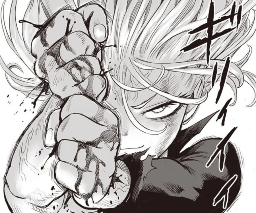 원펀맨) 난 타츠마키 팬티 이건줄 알았음_1.webp