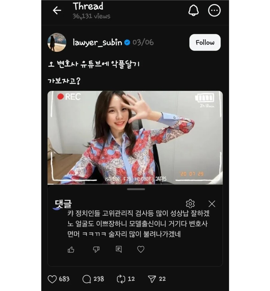 변호사 상대로 악플넣는 사람이 있을까?_1.jpg