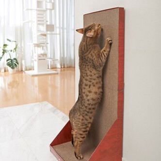 어떤 168만원짜리 골판지의자_2.jpg