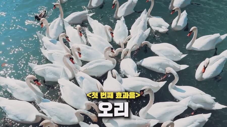 니케) 카토 아니스 성우 초대석_7.jpg