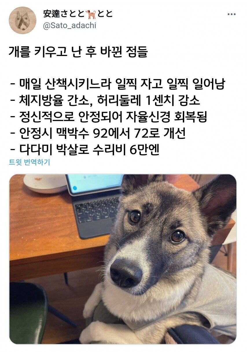 개를 키우고 난 후 바뀐 점들_1.jpg