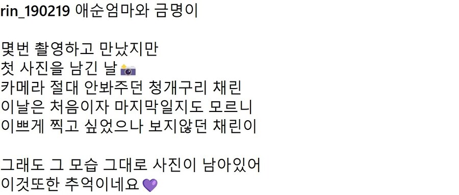 아역배우 신채린양 인스타그램_5.jpg