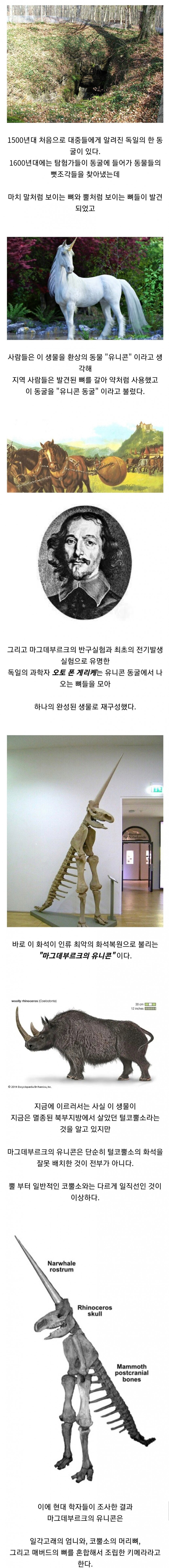 최악의 화석 복원 사례.jpg_1.png