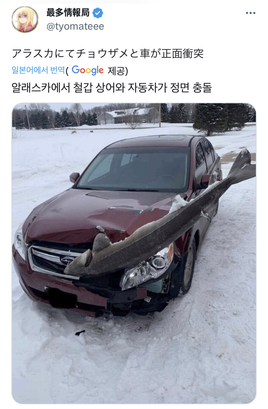 철갑상어탄을 맞은 자동차_1.jpg