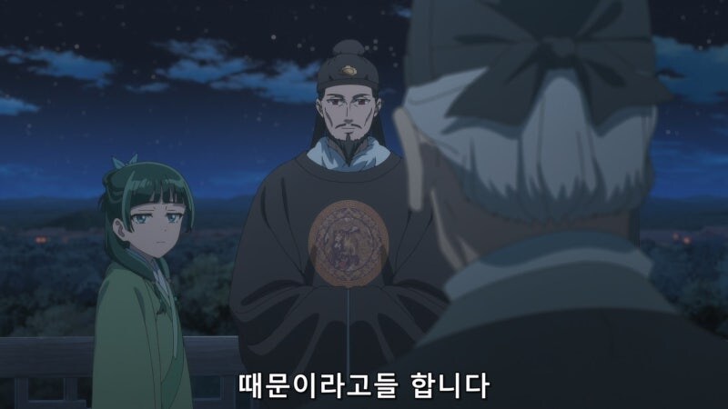 약사의혼잣말) 황제가 마오마오를 자신의 비로 삼지 않는 이유_11.jpg