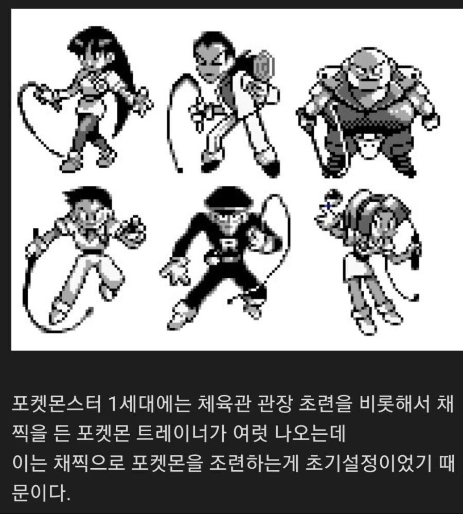 초기 포켓몬스터에서 넣으려다 채용하지 않은 설정의 잔재.jpg_1.jpg